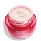 Shiseido Essential Energy Hydrating Day Cream SPF 20