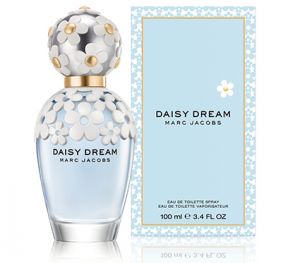 Daisy Dream